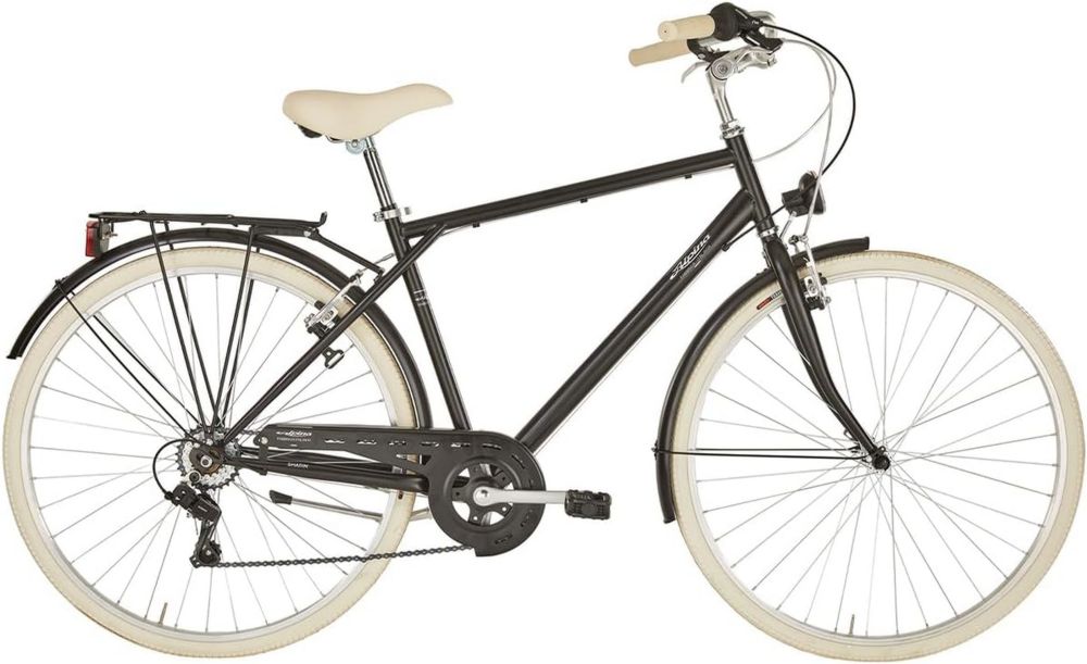 Bicicletta da Uomo Alpina Sharyn, Perfetta per Ogni Avventura