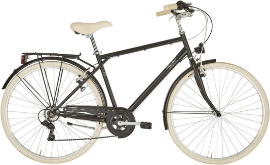Bicicletta da Uomo Alpina Sharyn, Perfetta per Ogni Avventura