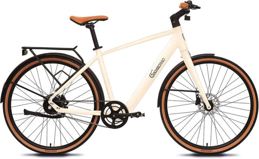 Bici Elettrica Urbana Roma II, Leggera e Versatile, Sensore di Coppia, Assistenza Pedalata, Design Elegante Unisex