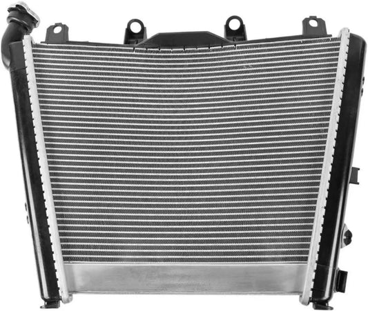 Griglia Radiatore in Alluminio per BMW S1000 RR 2019-2024